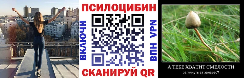 где купить   Белокуриха  Псилоцибиновые грибы MAGIC MUSHROOMS 